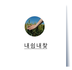 나는 청자다 (청년 자연인)